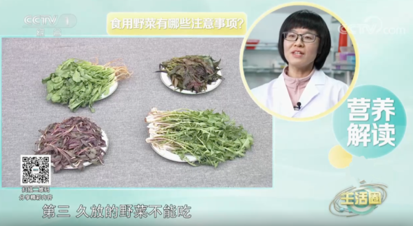 AA片在线观看视频在线播放 春天推选这4种野菜，如何正确食用？请储藏